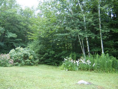 More flowers and white birch