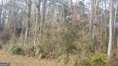 0 Veterans Dr unit 10303890, Thomaston, GA 30286 - photo 3