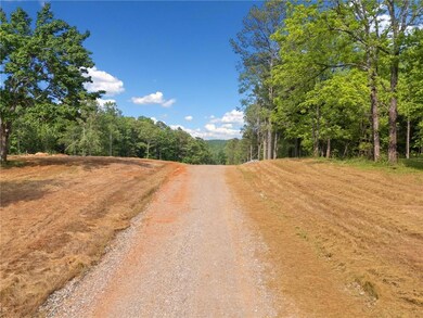 View of dirt / gravel road with a wooded view
