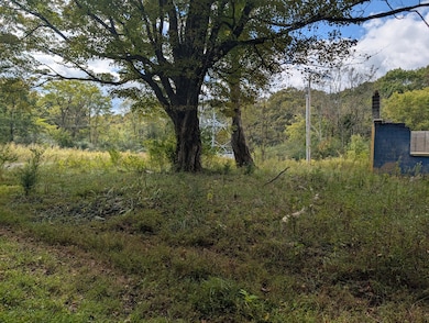 845 Rutledge St, Tracy City, TN 37387 - photo 6