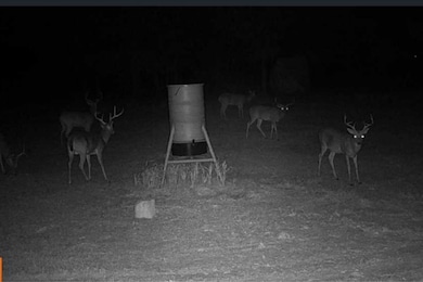 TBD3-2 Farm To Market Road 730 N, Decatur, TX 76234 - photo 4