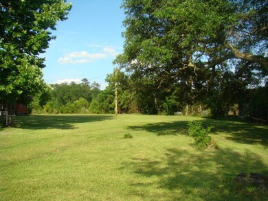 Back Yard View