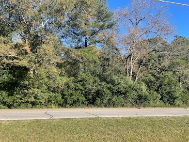 3945 Hwy 15s, Sumter, SC 29150 - photo 4