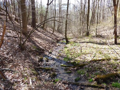 0 Alto Rd unit 342956, Vesuvius, VA 24483 - photo 3