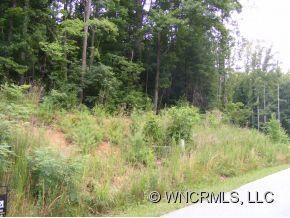 233 Baton Ln unit 10, Hendersonville, NC 28792 - photo 2