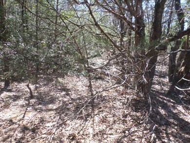 View of nature