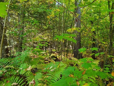00 Long Ridge Rd unit Lot 2 AKA Lot 22, Sanbornville, NH 03872 - photo 4