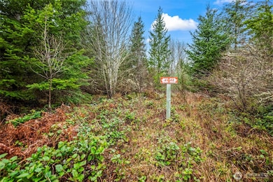 123 Highland Dr E, Roy, WA 98580 - photo 3