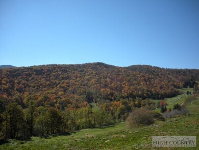View of Ridge Line