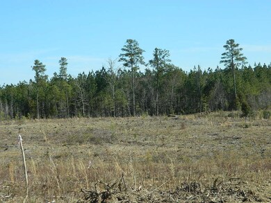 Lot 2 N Carolina 902, Pittsboro, NC 27312 - photo 3