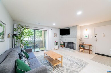 134 Turtle Creek Rd unit 4, Charlottesville, VA 22901 - photo 2