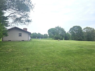 back yard