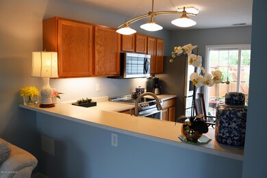 6915 Arbor Creek Dr, Louisville, KY 40228 - photo 5