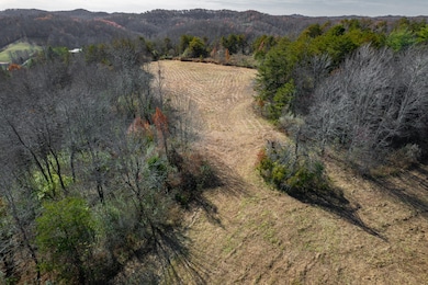 1297 Kentucky 191, West Liberty, KY 41472 - photo 3