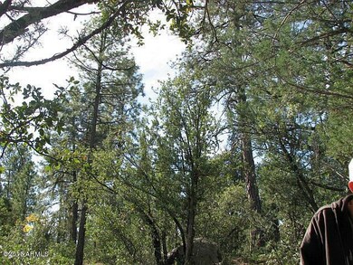 5 Tall Pines