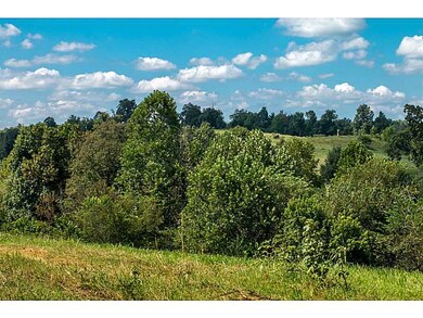 0 Gun Club Rd unit 743056, Fayetteville, AR 72704 - photo 6