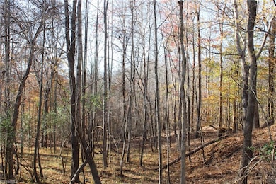 00 Ralph Joyce Rd, Sandy Ridge, NC 27046 - photo 7