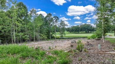 Lot 47 Spyglass Ln, Huddleston, VA 24104 - photo 4