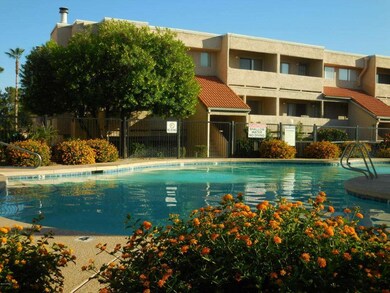Pool view toward south