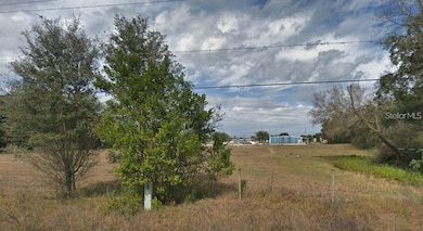 4137 New River Rd, Wesley Chapel, FL 33543 - photo 2