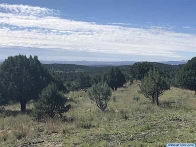 34 Oxbow, Silver City, NM 88061 - photo 4