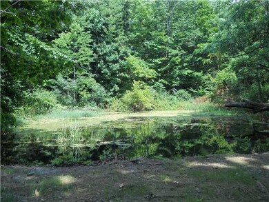 Yard/Garden Beautiful spring -fed pond