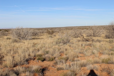 Lot 224 Ccr - Unit 224, Heber, AZ 85928 - photo 2