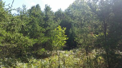 20150826_123051_resized