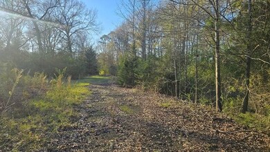 607 Co Rd 134, Garrison, TX 75946 - photo 5