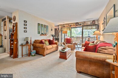 11212 Chestnut Grove Square unit 316, Reston, VA 20190 - photo 3