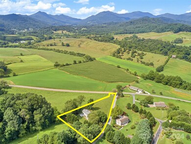 11 Lady Bug Ln, Leicester, NC 28748 - photo 3