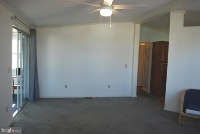 18686 Snowmass Run S unit 39421, Rehoboth Beach, DE 19971 - photo 6