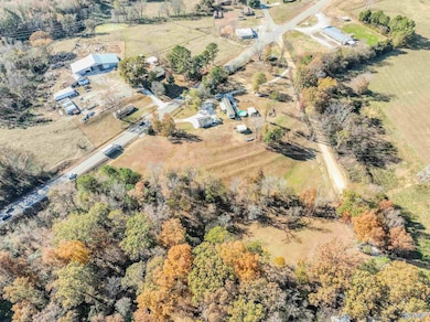 560 Alabama 101, Rogersville, AL 35652 - photo 6