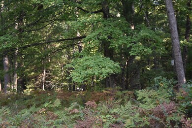 10452 N Woodbridge Ave, Bitely, MI 49309 - photo 2