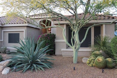 Front Yard