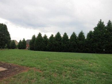 17. Back yard