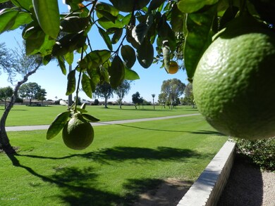 BACK YARD VIEW ON GOLF COURSE