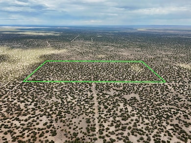 Tbd N7112, Saint Johns, AZ 85936 - photo 2