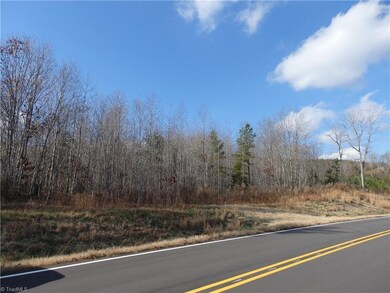 0 Lewis Thomas Rd, Grant, NC 27205 - photo 3