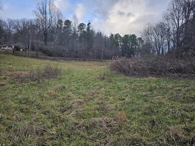 00 Belleview Rd, Franklin, NC 28734 - photo 2