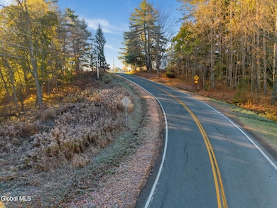 L8 Argusville Rd, Sharon, NY 13459 - photo 3