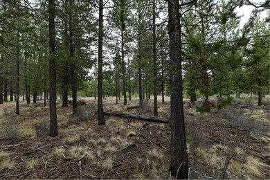 56607 Celestial Dr, Bend, OR 97707 - photo 4