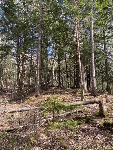 11-4 Wells Rd unit 11-4, Franconia, NH 03580 - photo 7