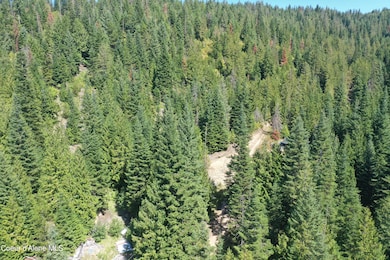 DJI_0353