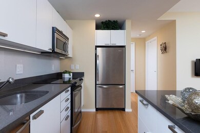 Sierra & Tango Condominiums unit T605, Cambridge, MA 02141 - photo 7
