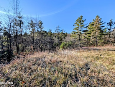 329 W Hague Rd, Hague, NY 12836 - photo 2