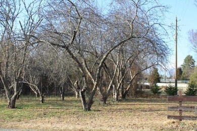 Orchard