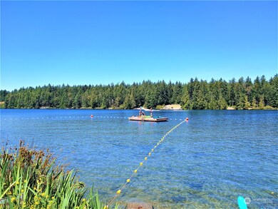 11018 Admiralty Way, Anderson Island, WA 98303 - photo 4