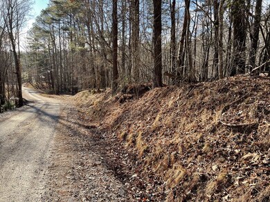 2458 Montage Dr, Ellijay, GA 30540 - photo 5