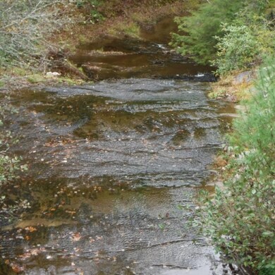 BRANCH CREEK 1 BEST